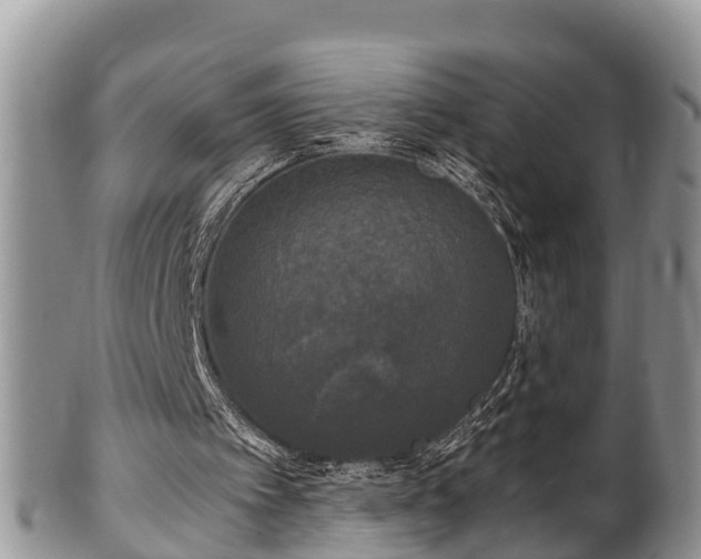 X0000102300097200808011549