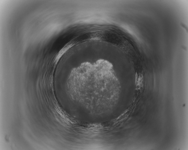 X0000102300099200808011549