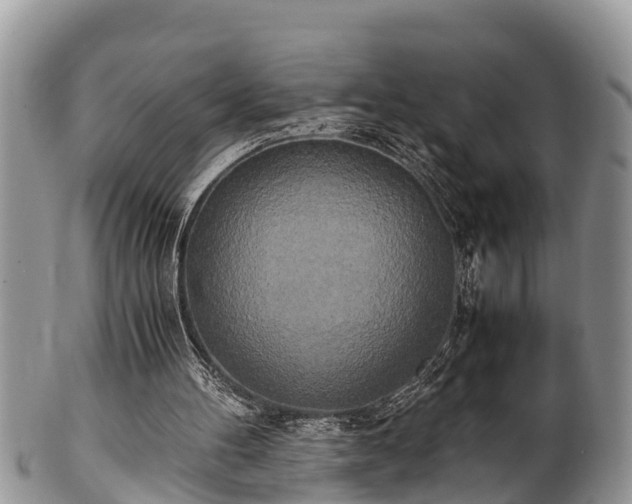 X0000102300100200808011549