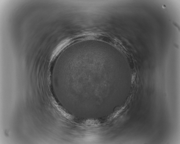 X0000102300101200808011549