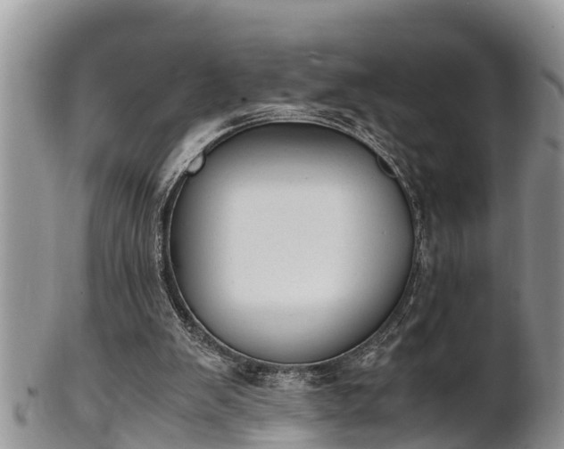 X0000102300103200808011549