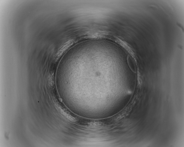 X0000102300105200808011549