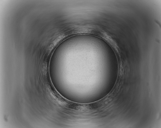 X0000102300107200808011549