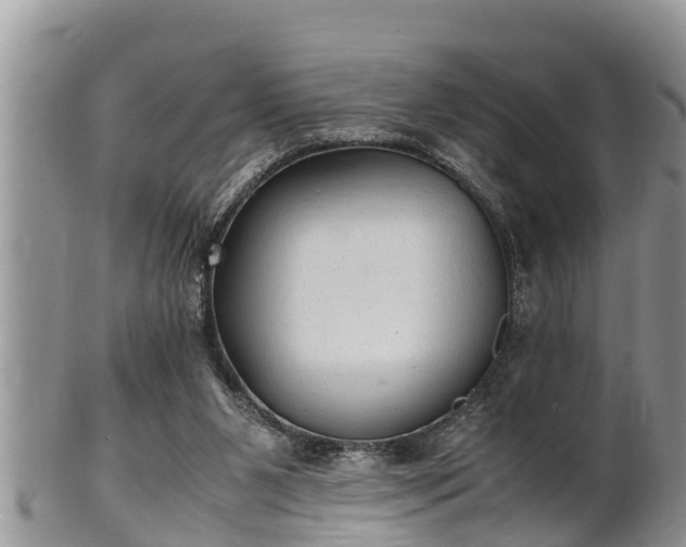 X0000102300111200808011549