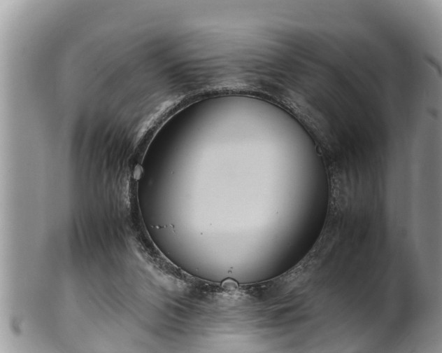 X0000102300112200808011549