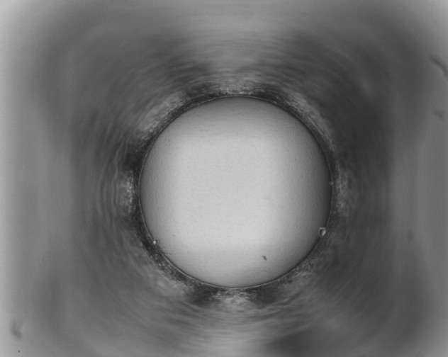 X0000102300113200808011549