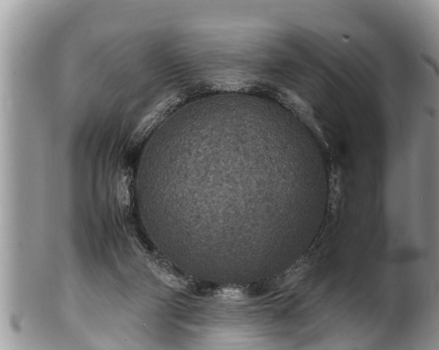 X0000102300114200808011549