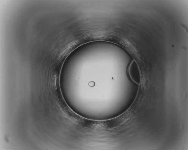 X0000102300115200808011549