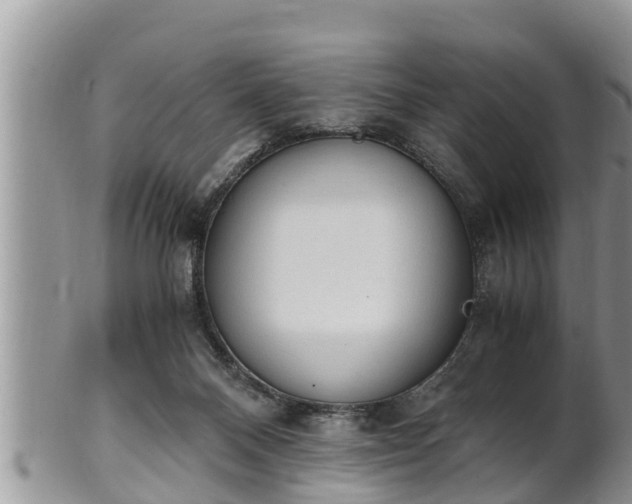 X0000102300120200808011549