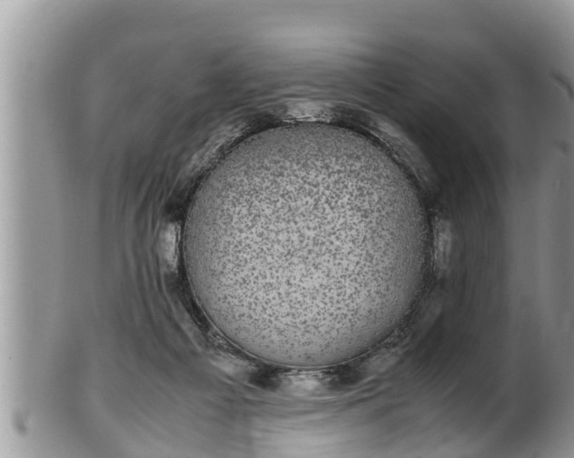 X0000102300121200808011549