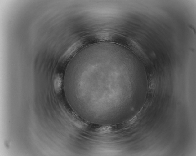 X0000102300124200808011548