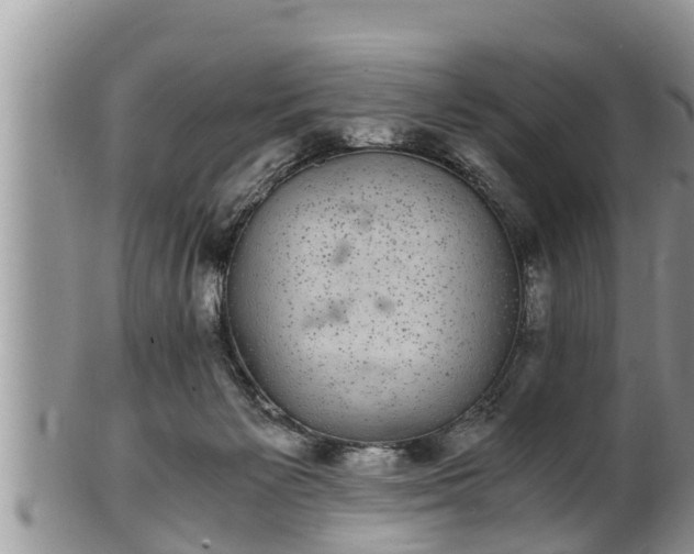 X0000102300125200808011548