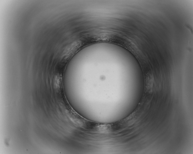 X0000102300126200808011548