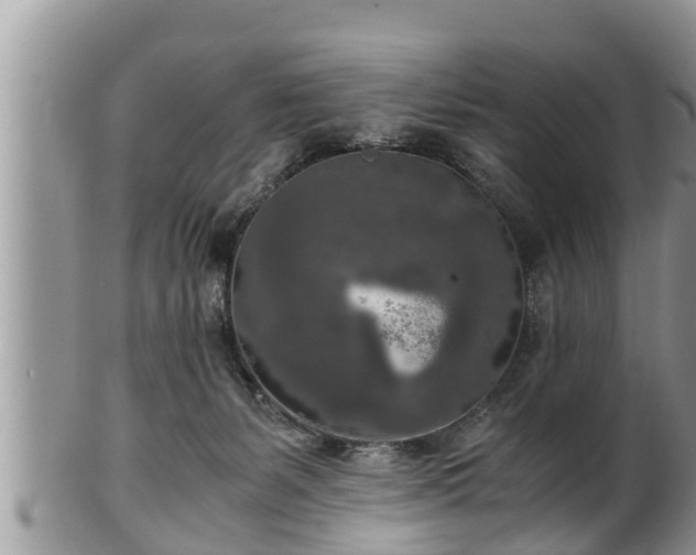 X0000102300127200808011548