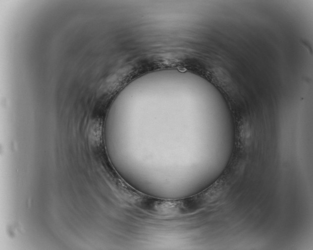 X0000102300129200808011548