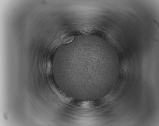 X0000102300130200808011548