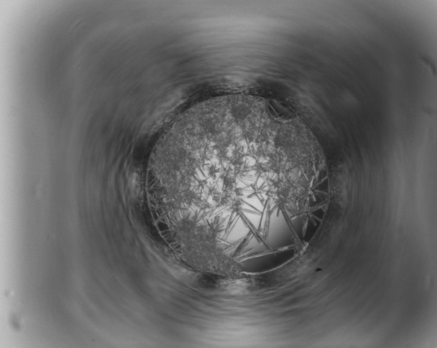 X0000102300131200808011548