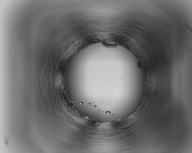 X0000102300132200808011548