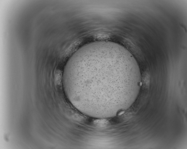 X0000102300133200808011548