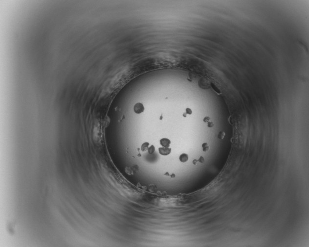 X0000102300134200808011548