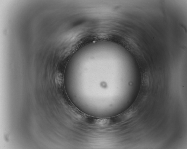 X0000102300135200808011548