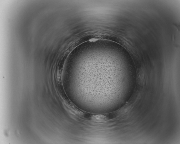 X0000102300137200808011548