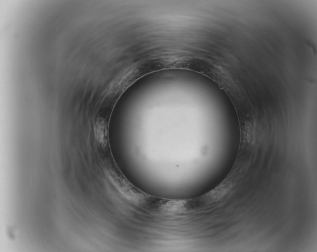 X0000102300138200808011548