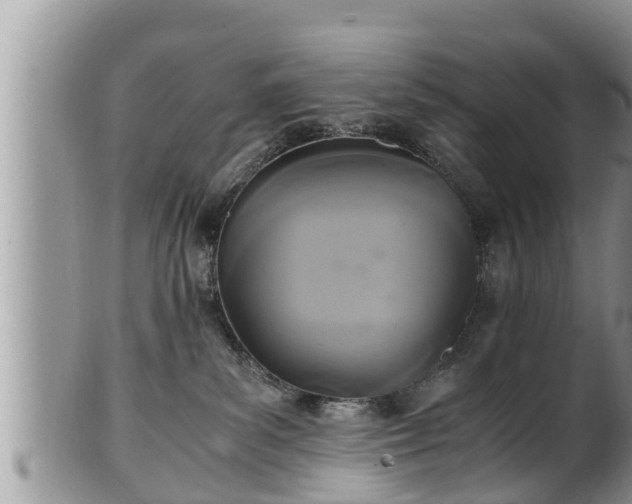 X0000102300139200808011548