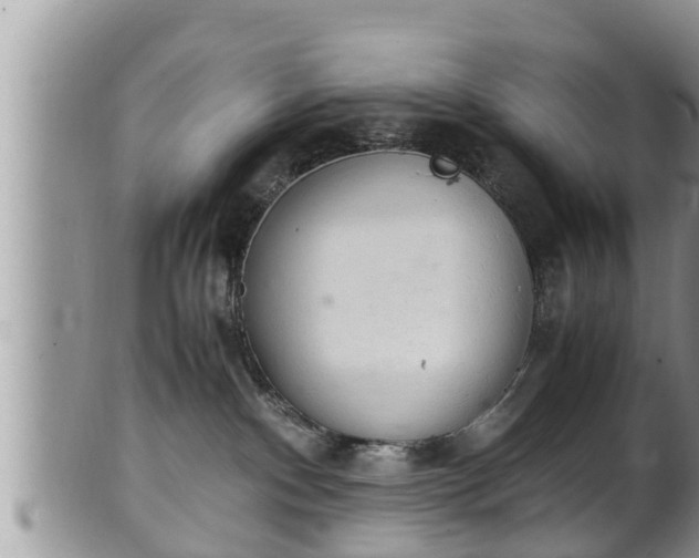 X0000102300140200808011548