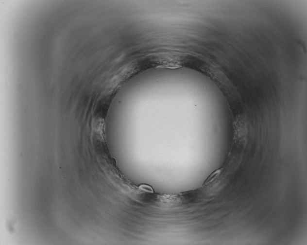 X0000102300141200808011548