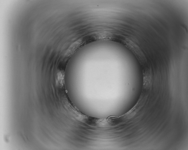 X0000102300142200808011548