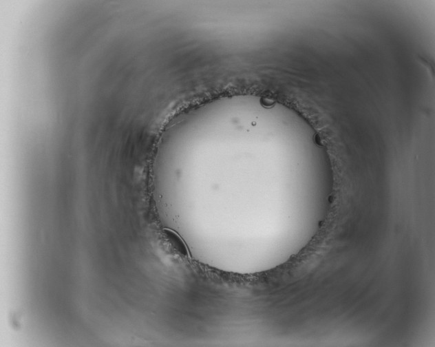 X0000102300144200808011548