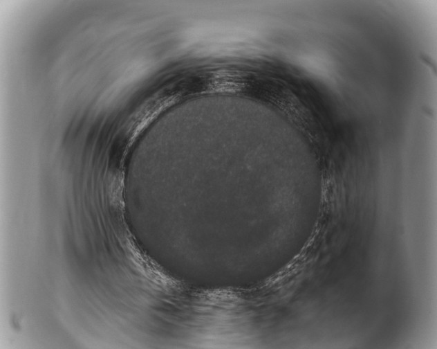 X0000102300146200808011548