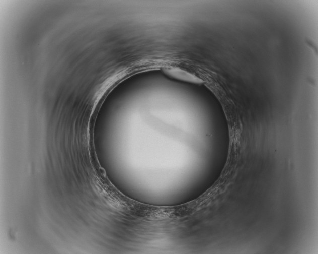 X0000102300148200808011548