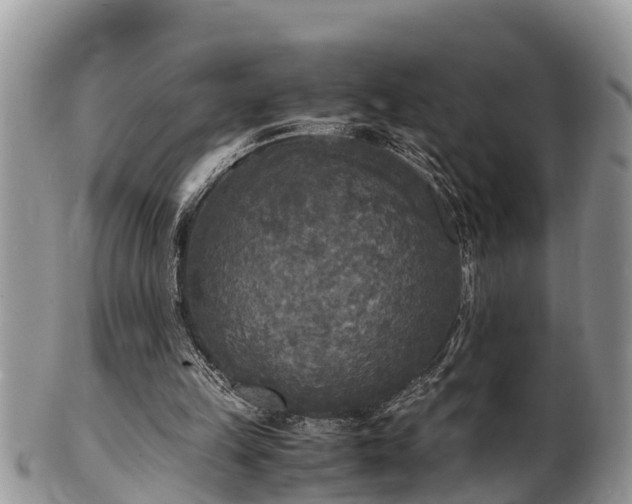 X0000102300149200808011548