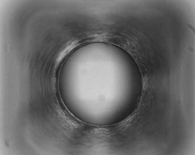 X0000102300150200808011548