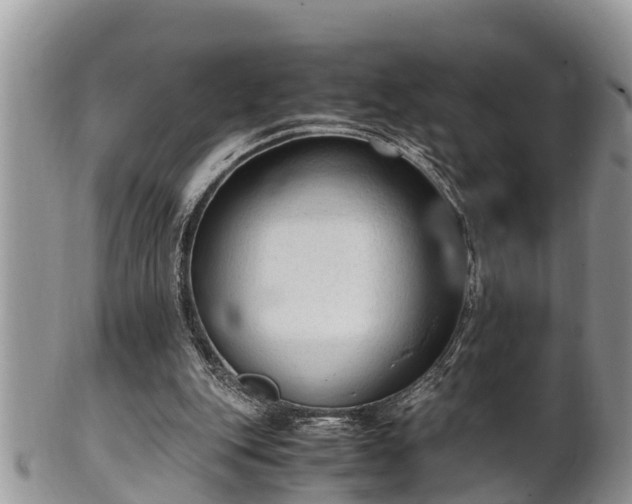 X0000102300151200808011548