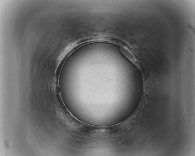 X0000102300152200808011548