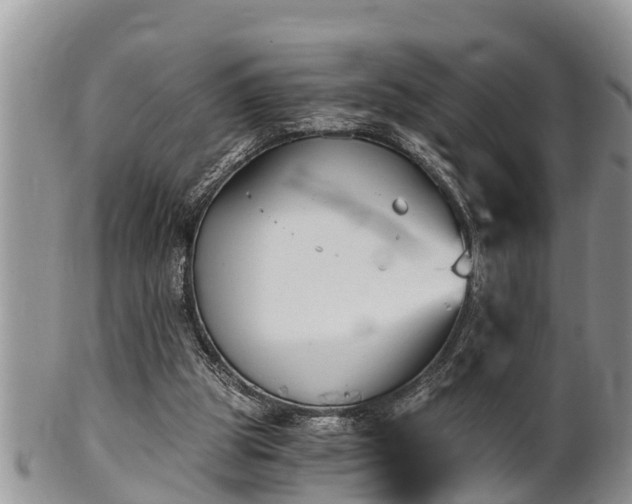 X0000102300153200808011548