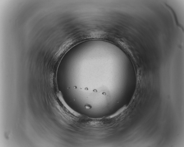 X0000102300154200808011548