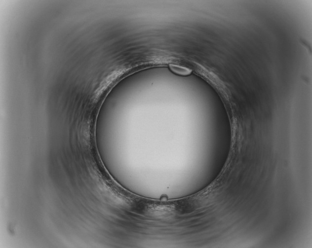 X0000102300155200808011548