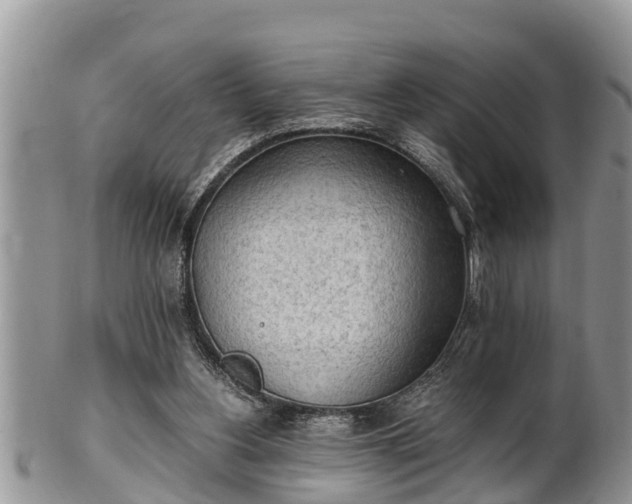 X0000102300156200808011548