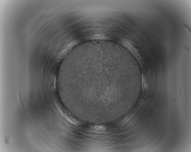 X0000102300157200808011548