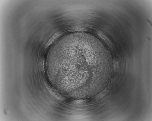 X0000102300158200808011548