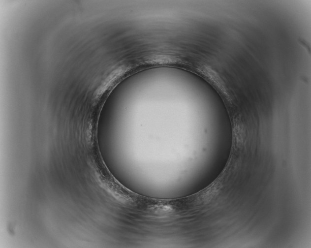 X0000102300159200808011548