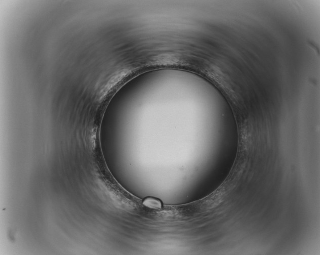 X0000102300160200808011548