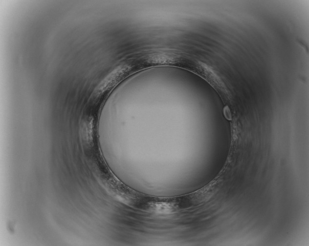 X0000102300163200808011548