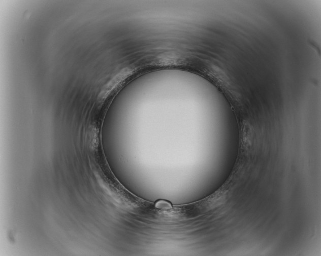 X0000102300164200808011548