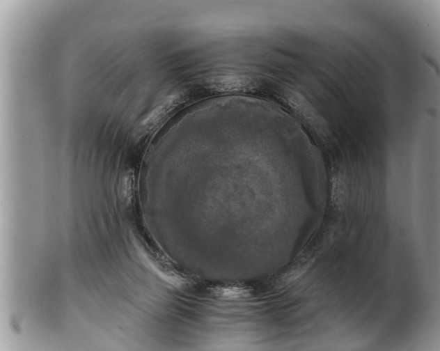 X0000102300165200808011548