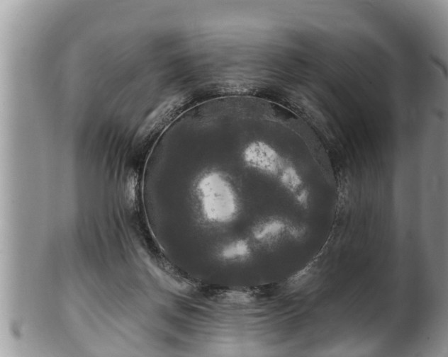 X0000102300166200808011548